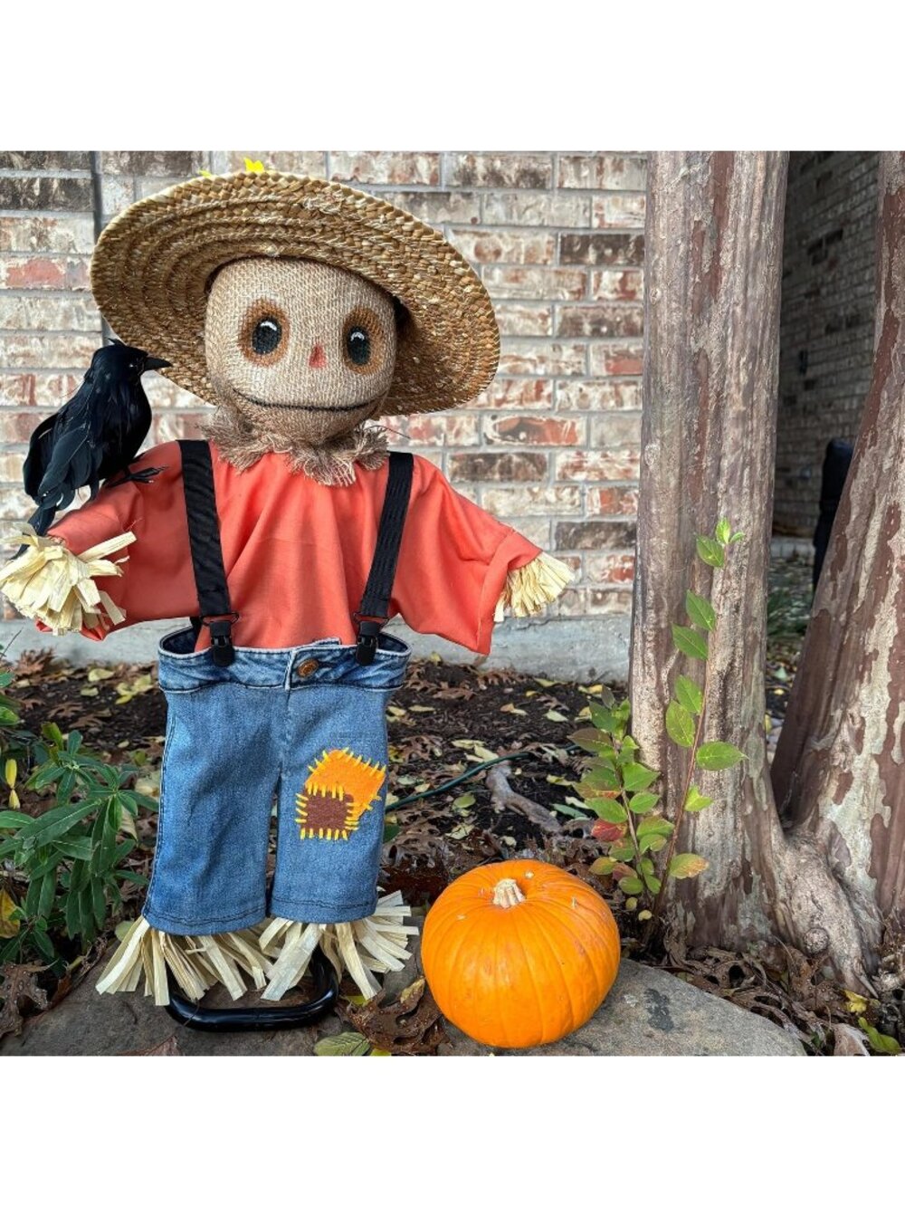 🎃 24 Inch Scaredy Crow Halloween Decoration Motion-Activated Voice Box
